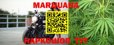 мдпв Кингисепп