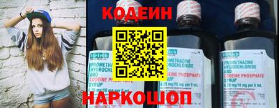 мдпв Кингисепп