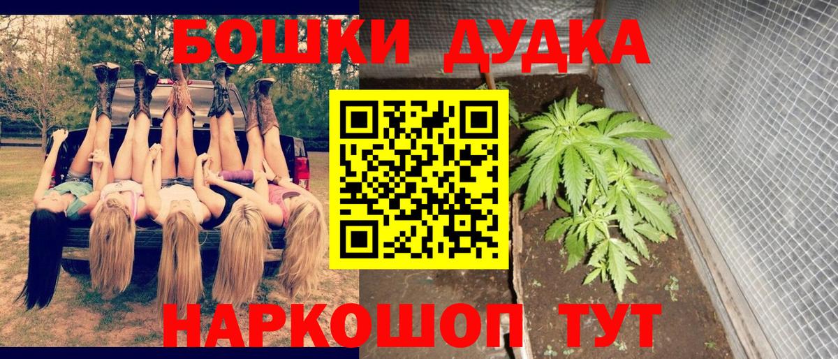 Канабис сатива  Бошки Шишки OG Kush  Вход с VPN  Кимры  Каннабис VHQ  Шишки марихуана гибрид 